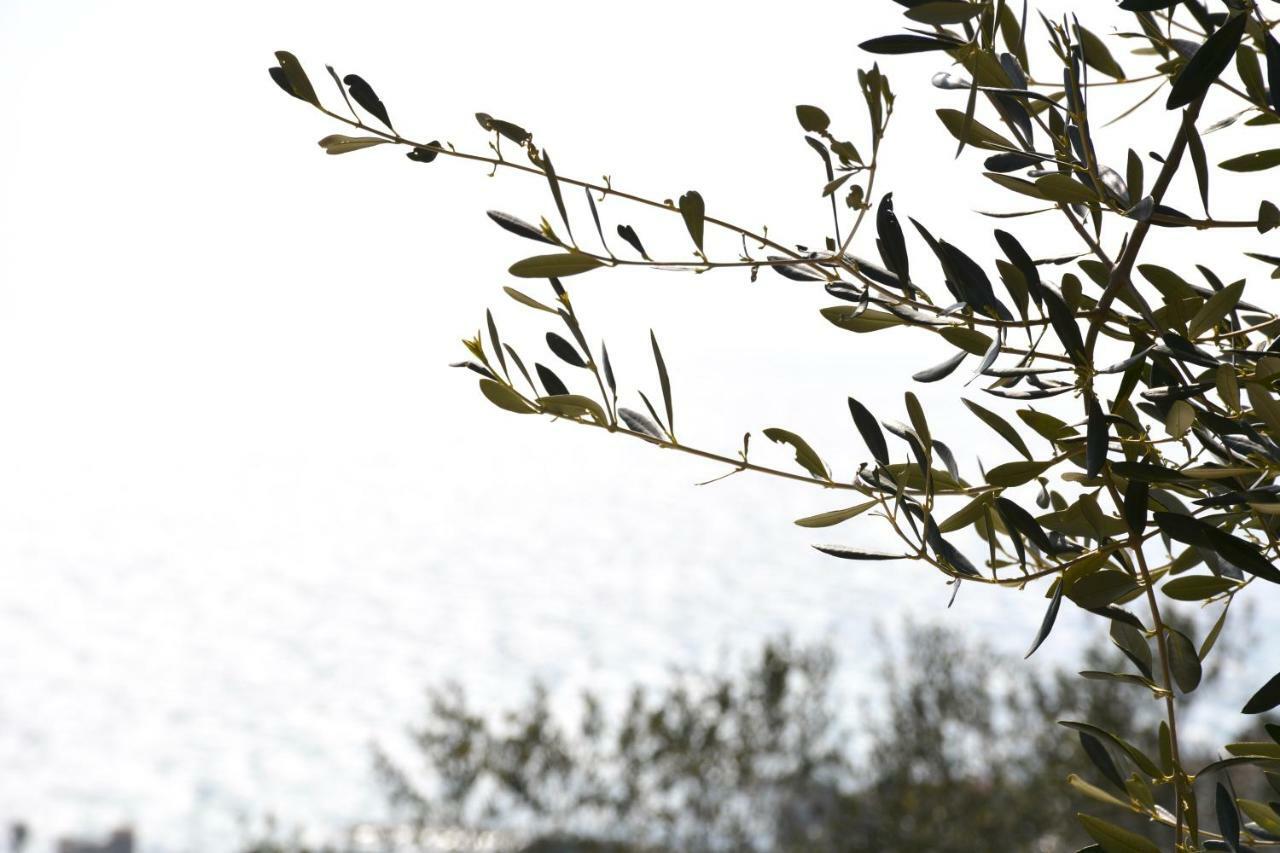 La Torretta Βίλα Imperia Εξωτερικό φωτογραφία