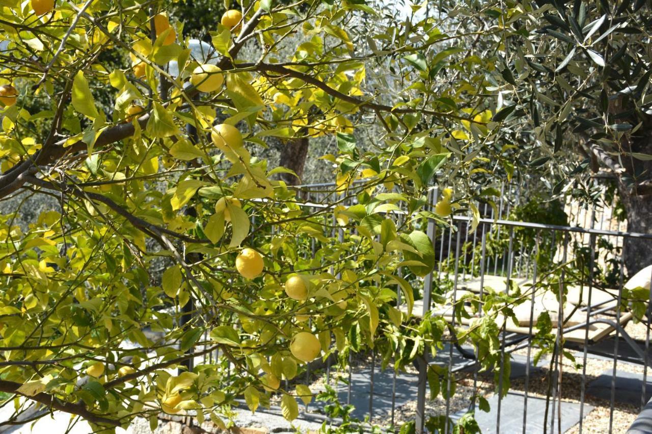 La Torretta Βίλα Imperia Εξωτερικό φωτογραφία