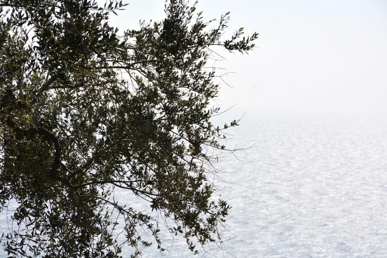 La Torretta Βίλα Imperia Εξωτερικό φωτογραφία